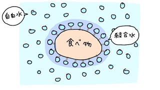 水、共有結合、水素結合、結合水、自由水｜管理栄養士国家試験 [upl. by Anaiuq]