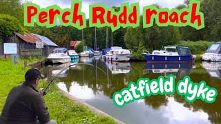 Coarse Fishing Catfield dyke Norfolk broads relaxed layed back session [upl. by Darej]