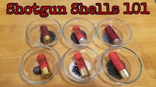 Shotgun Shells 101 [upl. by Lillian768]