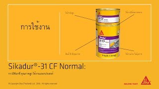 Sikadur 31 CF Normal การใช้งาน [upl. by Rutan]