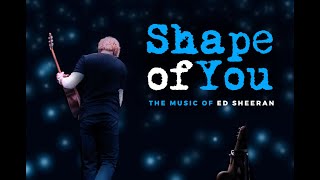 Ed Sheeran  Shape of You  Instrumental  Karaoke  Music  3  1 [upl. by Derayne]