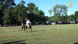 Primer Aniversario de la Aso de Jinetes de San Juan Nepomuceno [upl. by Nospmas648]