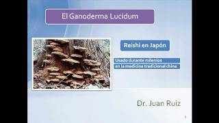 Ganoderma Lucidum  Dr Ruiz [upl. by Bobbie]