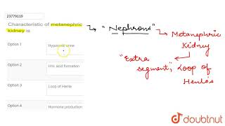 Characteristic of metanephric kidney is [upl. by Ninos184]