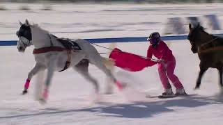 GP von Sils  Skijoring [upl. by Killigrew618]