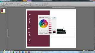 Defining a Pantone color in your MS Publisher document [upl. by Boiney203]