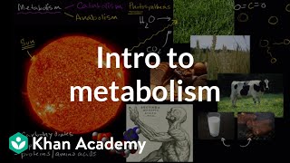 Introduction to metabolism anabolism and catabolism  Khan Academy [upl. by Fleming]