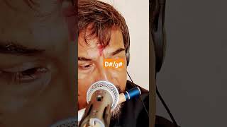 Gujarati garba Music on flute 🪈 Haiye raakhi [upl. by Annaul170]