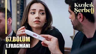 KIZILCIK ŞERBETİ 67BÖLÜM FRAGMANI  3 SEZON  GÖRKEM HAMİLE [upl. by Marozik527]