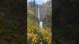 😍 Multnomah Falls 🍁 multnomahfalls oregon portland waterfall columbiarivergorge fall [upl. by Arria]