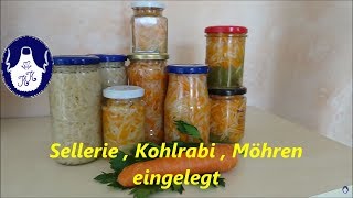 Sellerie  Kohlrabi  Möhren einlegen [upl. by Fadiman717]