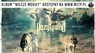 Pozytywka  08 Partyzant  Wilcze mogiły [upl. by Alford698]