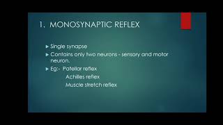 Reflexes  Monosynaptic and Multisynaptic Reflexes [upl. by Evander]