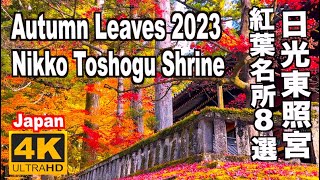 日光東照宮の紅葉8選 8 Top Autumn leaves Spots at Nikko Toshogu Shrine日光観光 旅行 紅葉名所 日光山輪王寺 世界遺産 御用邸 栃木観光 [upl. by Adhern416]