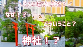 【都会の神社はすごすぎた】 [upl. by Arabrab]