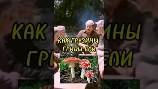 АНЕКДОТ 🍄 КАК ГРУЗИНЫ ГРИБЫ ЕЛИ [upl. by Garwin]