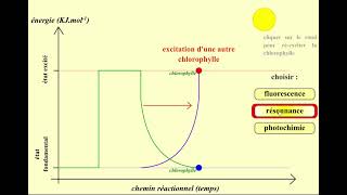 Chlorophylle fluorescence résonance et photochimie [upl. by Gratiana]