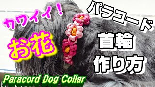 ペット用品 パラコードお花の首輪の作り方 paracorddog collarDIY手作り [upl. by Nashom]