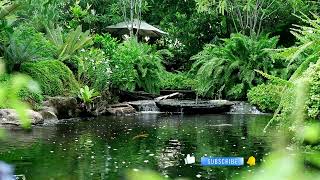 Youll Enjoy this Extremely Relaxing Nature  Gentle Water Sound for Sleep watersounds nature [upl. by Sabu824]