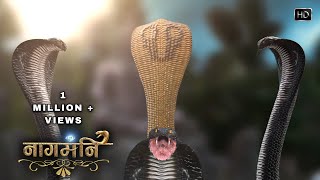 NAAGMANI PROMO  New snake entry  nayi kahani [upl. by Norty31]