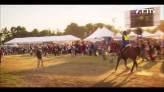 Highlights 2010 WEG  Individual Endurance [upl. by Carmine]