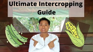 Ultimate Intercropping Guide Gabay sa pag tabitabi ng mga tanim [upl. by Anilesor]