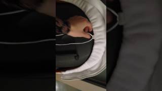 How to put the Stokke V1V2 seat cover on the seat [upl. by Adnah]