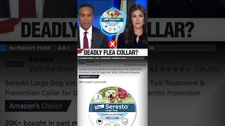 Better Than Seresto DEWEL™ All Natural Flea amp Tick Collar for Dogs [upl. by Kenay]