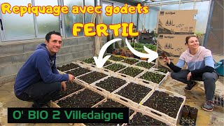 On repique les 1ers semis avec les godets FERTIL poivrons tomates [upl. by Dammahum738]