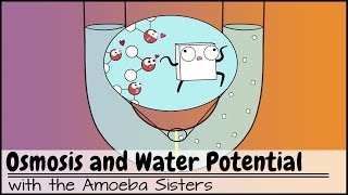 Osmosis and Water Potential Updated [upl. by Niraa]