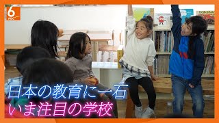 【日本の教育に一石】いま注目の学校こどもの主体性を育む“オルタナティブスクール” 大阪・箕面市【newsおかえり特集】 [upl. by Sadie]