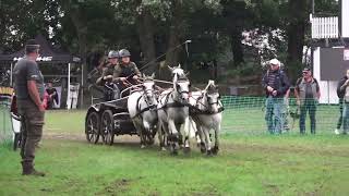 Deutsche Meisterschaft in Emlichheim Marathon KlS Vierspänner Pony [upl. by Airreis]