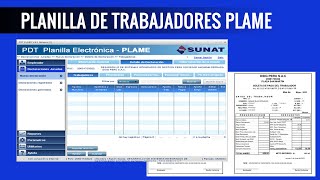 Planilla de Trabajadores PLAME en Excel [upl. by Thornie]