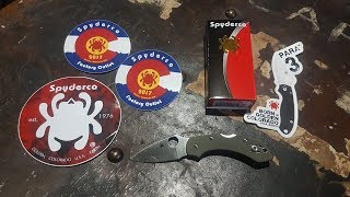 Spyderco Dragonfly 2 G10 Review C28GPFG [upl. by Aiveneg959]