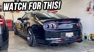 What To Look For When Buying 1114 Mustang GT 50 [upl. by Nesmat371]