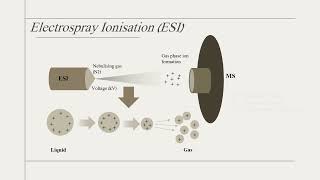 Quickly understand various types of LCMS [upl. by Jedidiah703]