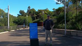 Meeting point for Barangaroo Reserve tours [upl. by Navoj216]