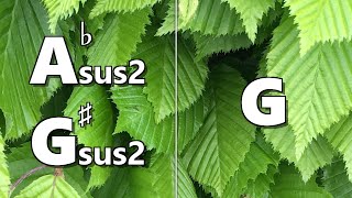 Absus2 Gsus2 to G Backing Track [upl. by Corie]