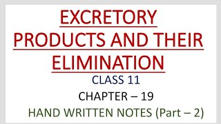 CLASS 11  BIOLOGY  CHAPTER 19 EXCRETORY PRODUCTS AND THEIR ELIMINATION HAND WRITTEN NOTESPART 2 [upl. by Carmelina]