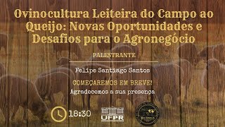 Ovinocultura Leiteira do Campo ao Queijo  MV Felipe Santiago Santos [upl. by Pearson]