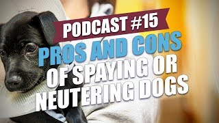 TOP 15 Pros and Cons of Spaying or Neutering Dogs [upl. by Arsuy]