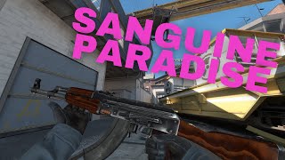 Sanguine paradise [upl. by Fendig]