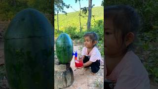 Survival Skills SIMPLE and USEFUL with watermelon bushcraft camping outdoors useful [upl. by Kaslik]