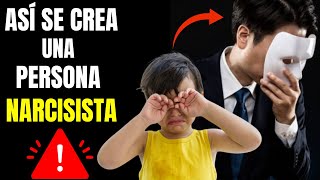 ¿Cómo se origina el TRASTORNO NARCISISTA Todas las Respuestas TPN [upl. by Siwel776]