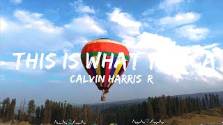 Calvin Harris Rihanna  This Is What You Came For  Remi Music [upl. by Esilahc]