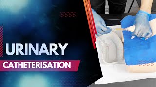 Urinary Catheterisation  OSCE Video  Aspire Academy [upl. by Svend]