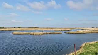 Yacht Club Ponds Tetney Marshes RSPB Nature Reserve Timelapse [upl. by Giwdul229]