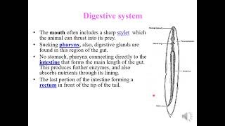 lecture 6 Medical Helminthology Phylum Nematoda [upl. by Newcomb]