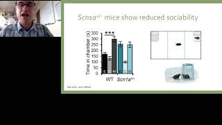 Cannabidiol Treatment of Epilepsy and Autism Through Restoration of GABAergic Signal [upl. by Mahla]