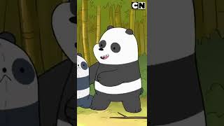 Panda bebé y la llegada de un nuevo amigo  Escandalosos [upl. by Ahtar839]